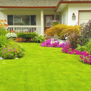 Lawn & Garden